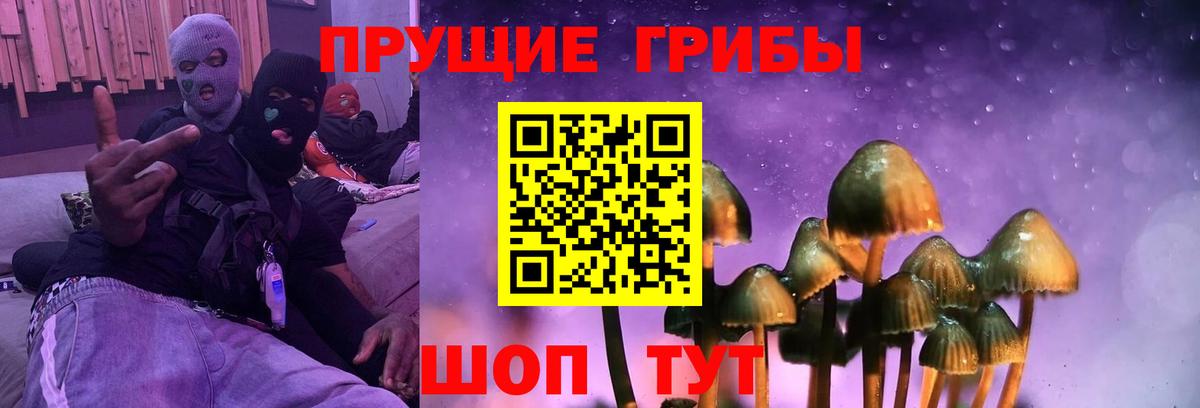 Галлюциногенные грибы MAGIC MUSHROOMS  Псилоцибиновые грибы мицелий  Вход с VPN  Соль-Илецк 